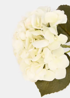 Ortensia finta su ramo