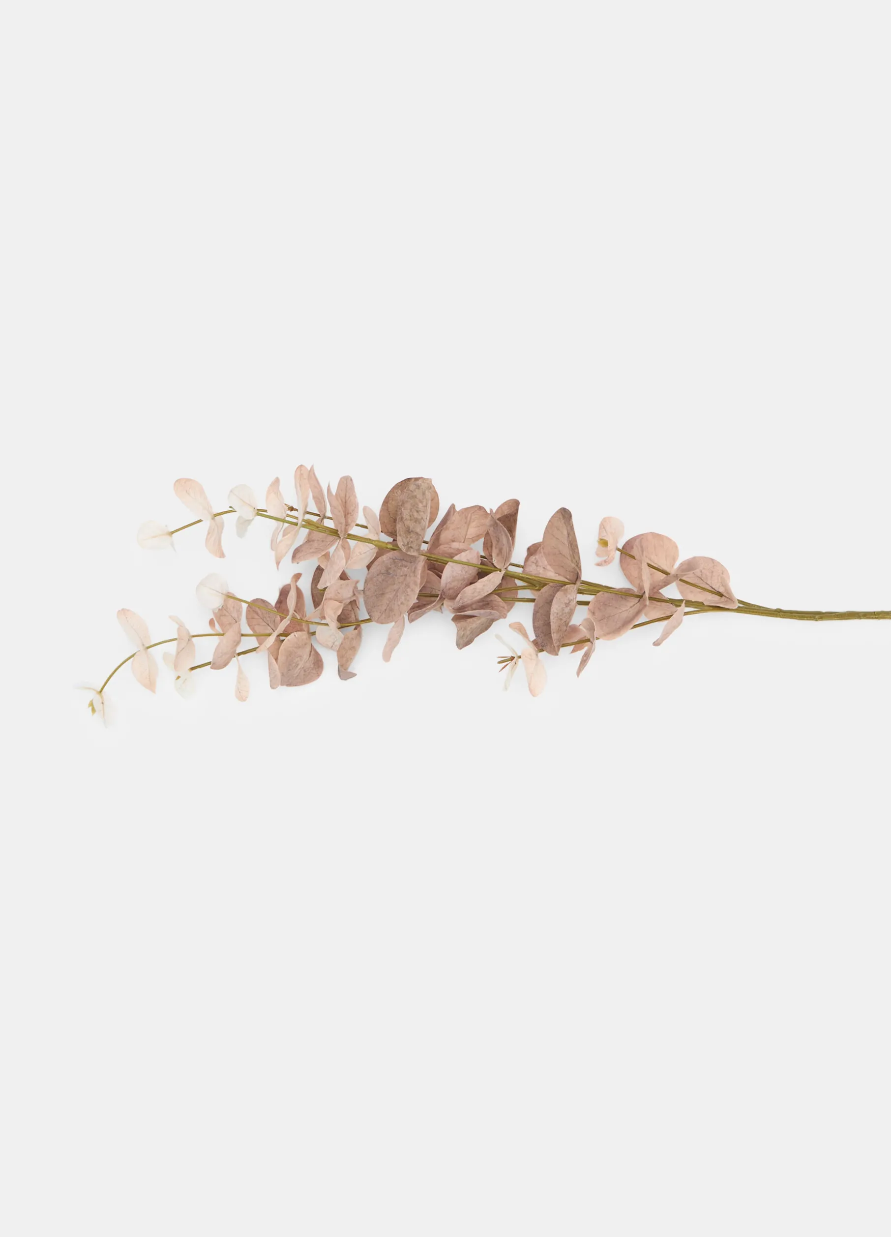 Ramo di eucalipto secco finto