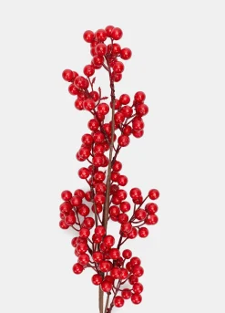 Ramo lungo con bacche